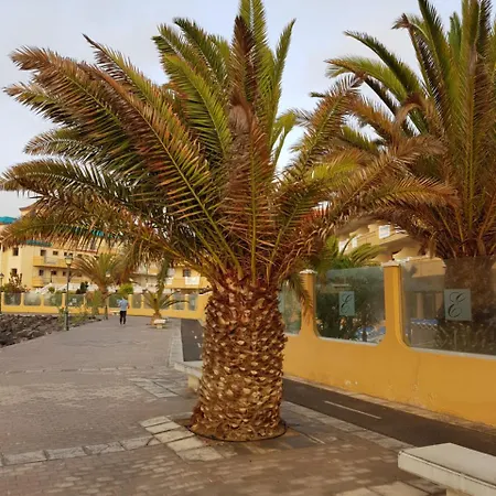 Appartement Caleta Amigos 6b *