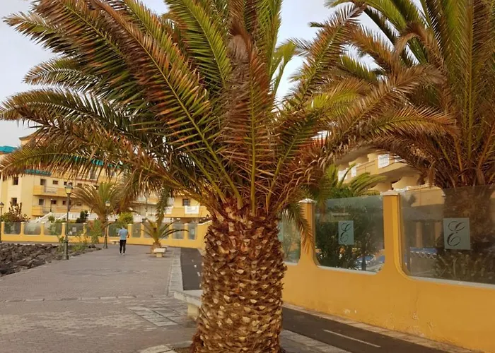 Appartement Caleta Amigos 6b *